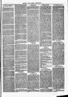 Herts & Cambs Reporter & Royston Crow Friday 14 June 1878 Page 3