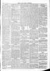 Herts & Cambs Reporter & Royston Crow Friday 14 June 1878 Page 5