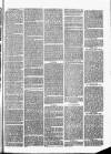 Herts & Cambs Reporter & Royston Crow Friday 06 September 1878 Page 7