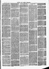 Herts & Cambs Reporter & Royston Crow Friday 01 November 1878 Page 3