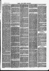 Herts & Cambs Reporter & Royston Crow Friday 10 January 1879 Page 3