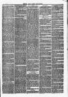 Herts & Cambs Reporter & Royston Crow Friday 12 December 1879 Page 7