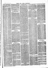 Herts & Cambs Reporter & Royston Crow Friday 30 January 1880 Page 3