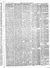 Herts & Cambs Reporter & Royston Crow Friday 26 March 1880 Page 3