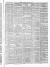 Herts & Cambs Reporter & Royston Crow Friday 21 May 1880 Page 7