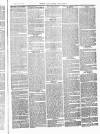 Herts & Cambs Reporter & Royston Crow Friday 04 June 1880 Page 3
