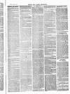 Herts & Cambs Reporter & Royston Crow Friday 30 July 1880 Page 3