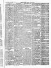 Herts & Cambs Reporter & Royston Crow Friday 30 July 1880 Page 7