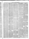 Herts & Cambs Reporter & Royston Crow Friday 19 November 1880 Page 3