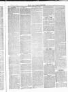 Herts & Cambs Reporter & Royston Crow Friday 26 November 1880 Page 3