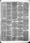 Herts & Cambs Reporter & Royston Crow Friday 14 January 1881 Page 3