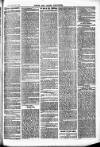 Herts & Cambs Reporter & Royston Crow Friday 11 February 1881 Page 3