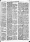 Herts & Cambs Reporter & Royston Crow Friday 25 February 1881 Page 3