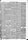 Herts & Cambs Reporter & Royston Crow Friday 25 February 1881 Page 7