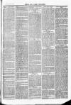 Herts & Cambs Reporter & Royston Crow Friday 11 March 1881 Page 3