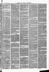 Herts & Cambs Reporter & Royston Crow Friday 08 July 1881 Page 3