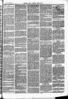 Herts & Cambs Reporter & Royston Crow Friday 08 July 1881 Page 7