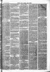 Herts & Cambs Reporter & Royston Crow Friday 15 July 1881 Page 7