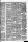 Herts & Cambs Reporter & Royston Crow Friday 22 July 1881 Page 3