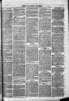 Herts & Cambs Reporter & Royston Crow Friday 05 August 1881 Page 3