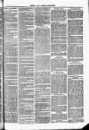 Herts & Cambs Reporter & Royston Crow Friday 12 August 1881 Page 3