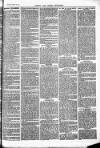 Herts & Cambs Reporter & Royston Crow Friday 19 August 1881 Page 3