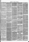 Herts & Cambs Reporter & Royston Crow Friday 23 September 1881 Page 3