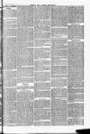 Herts & Cambs Reporter & Royston Crow Friday 30 September 1881 Page 7