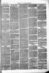 Herts & Cambs Reporter & Royston Crow Friday 25 November 1881 Page 3
