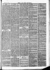 Herts & Cambs Reporter & Royston Crow Friday 06 January 1882 Page 7