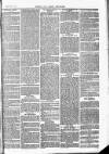 Herts & Cambs Reporter & Royston Crow Friday 13 January 1882 Page 3