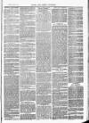 Herts & Cambs Reporter & Royston Crow Friday 17 March 1882 Page 3