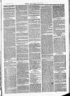 Herts & Cambs Reporter & Royston Crow Friday 26 May 1882 Page 3