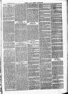 Herts & Cambs Reporter & Royston Crow Friday 26 May 1882 Page 7