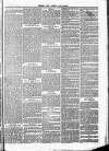 Herts & Cambs Reporter & Royston Crow Friday 13 October 1882 Page 7