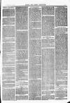 Herts & Cambs Reporter & Royston Crow Friday 17 November 1882 Page 3