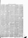 Herts & Cambs Reporter & Royston Crow Friday 14 March 1884 Page 3