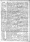 St. Pancras Guardian and Camden and Kentish Towns Reporter Saturday 01 January 1881 Page 7