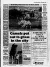 Chatham Standard Tuesday 01 November 1988 Page 7