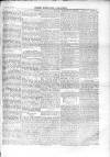 North Middlesex Chronicle Saturday 17 January 1874 Page 5