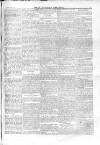 North Middlesex Chronicle Saturday 28 February 1874 Page 5