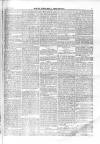 North Middlesex Chronicle Saturday 25 July 1874 Page 3