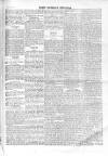 North Middlesex Chronicle Saturday 12 September 1874 Page 5