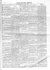 North Middlesex Chronicle Saturday 31 October 1874 Page 5