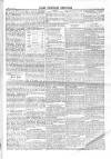 North Middlesex Chronicle Saturday 21 November 1874 Page 5