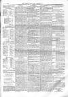 North Middlesex Chronicle Saturday 26 June 1875 Page 7