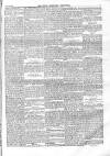 North Middlesex Chronicle Saturday 24 July 1875 Page 3