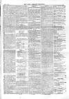 North Middlesex Chronicle Saturday 14 August 1875 Page 7