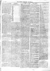 North Middlesex Chronicle Saturday 01 January 1876 Page 7