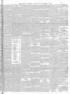 Natal Witness Saturday 02 November 1878 Page 3